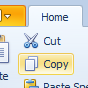 Copy and paste your dictated document into any other applications that use text.
